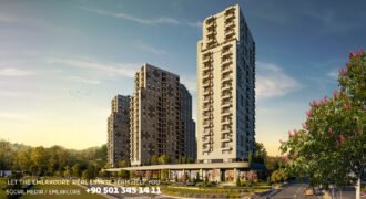 As Concept As Concept