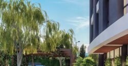 CUENTO ELITE CUENTO ELITE