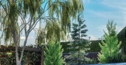 CUENTO ELITE CUENTO ELITE