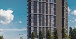 CUENTO ELITE CUENTO ELITE