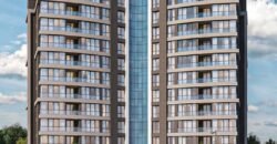 CUENTO ELITE CUENTO ELITE