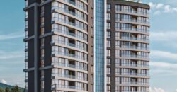 CUENTO ELITE CUENTO ELITE