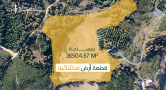 Land Directly View to Black Sea