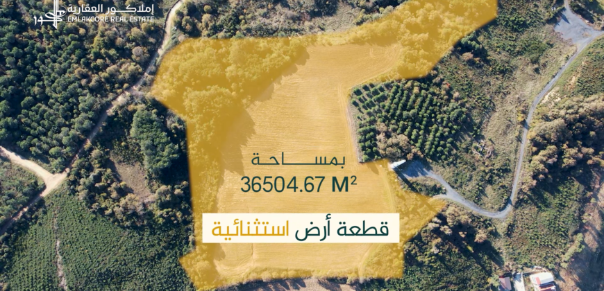 Land Directly View to Black Sea