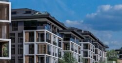 Vadi Cengelkoy Vadi Cengelkoy