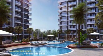 Viamar Tulip Viamar Tulip