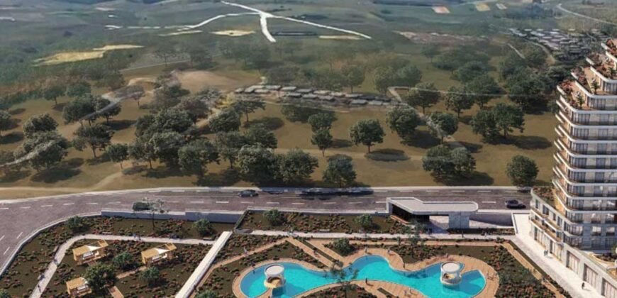 Flamingo Panorama Alkent