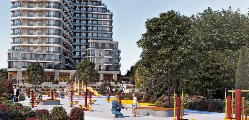 Flamingo Panorama Alkent