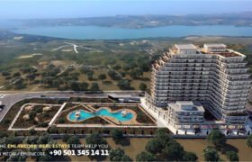 Flamingo Panorama Alkent