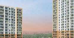 BİZİM EVLER 10 BİZİM EVLER 10