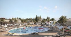 Demir Life Demir Life