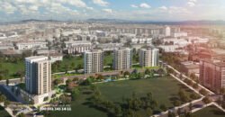 Dia Centro Dia Centro