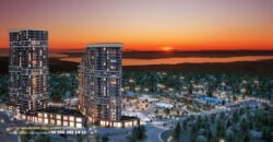 Demir Life Demir Life